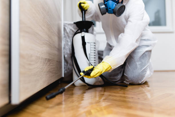 Best Cockroach Control Services  in Carroll Valley, PA