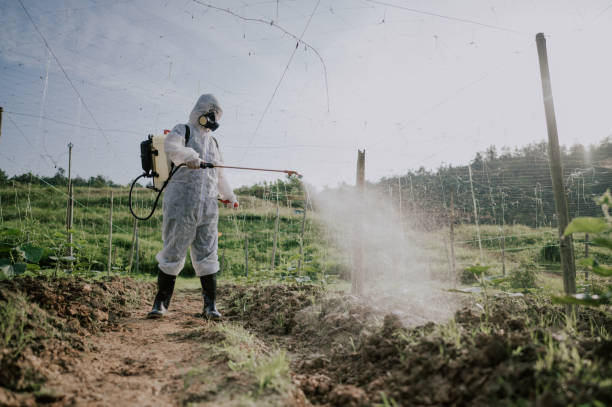 Best Pest Removal Services  in Carroll Valley, PA