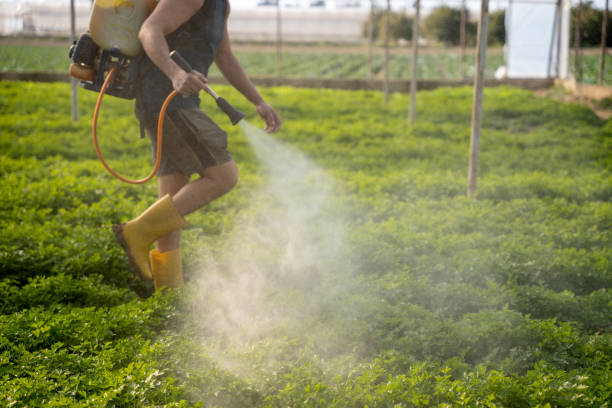Best Pest Control for Businesses  in Carroll Valley, PA