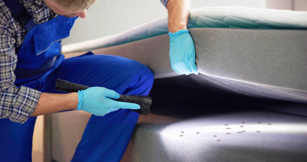Best Best Pest Control Companies  in Carroll Valley, PA