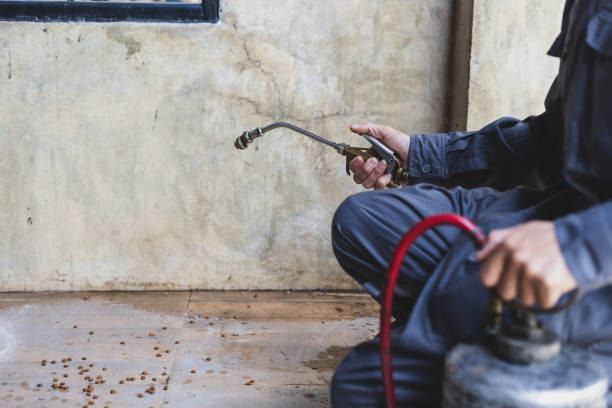 Best Affordable Pest Control Services  in Carroll Valley, PA