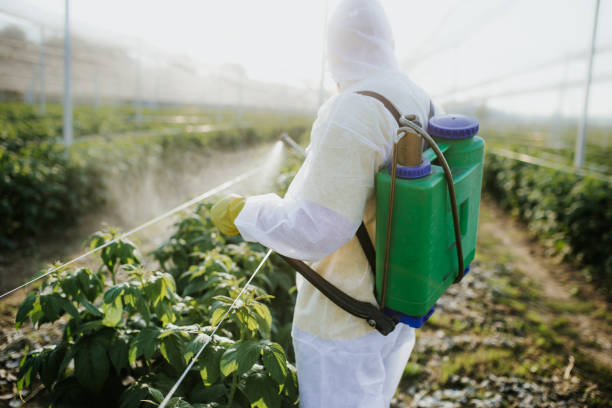 Best Termite Control Services  in Carroll Valley, PA